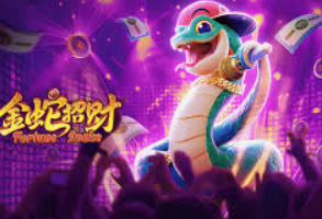 大小单双导师带赚包赔手机版