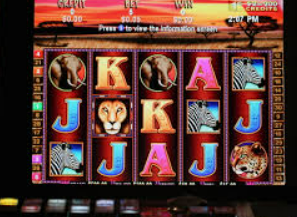 大小单双导师带赚包赔正式版