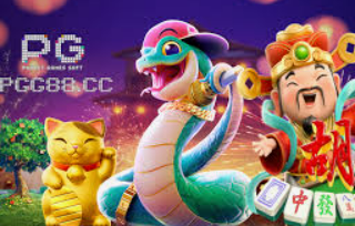 大小单双导师带赚包赔2024最新版