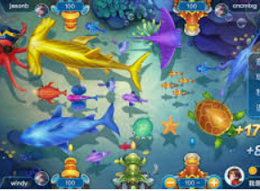 大小单双导师带赚包赔手机版