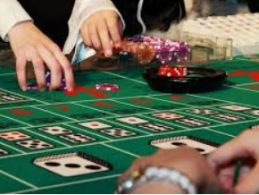 大小单双导师带赚包赔最新版